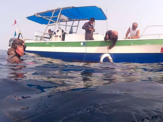 Disfrutando el paseo